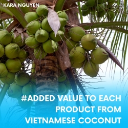 ADDED VALUE TO EACH PRODUCT FROM VIETNAMESE COCONUT